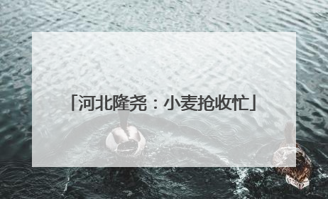 河北隆尧：小麦抢收忙
