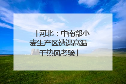 河北：中南部小麦生产区遭遇高温干热风考验