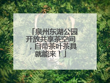 泉州东湖公园开放共享茶空间，自带茶叶茶具就能来！