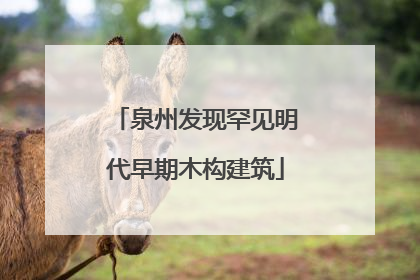 泉州发现罕见明代早期木构建筑