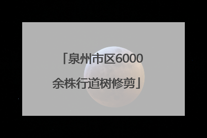 泉州市区6000余株行道树修剪