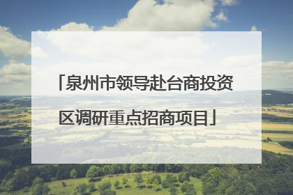 泉州市领导赴台商投资区调研重点招商项目