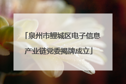泉州市鲤城区电子信息产业链党委揭牌成立