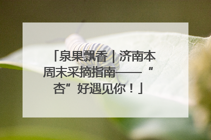 泉果飘香｜济南本周末采摘指南——“杏”好遇见你！