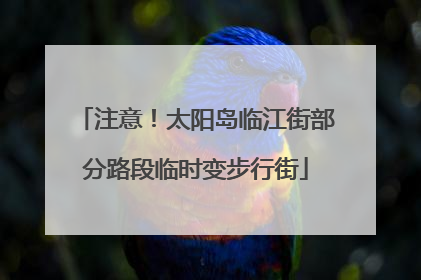 注意！太阳岛临江街部分路段临时变步行街
