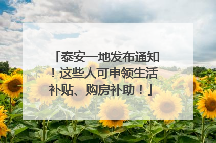 泰安一地发布通知！这些人可申领生活补贴、购房补助！