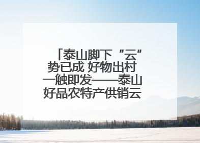 泰山脚下“云”势已成 好物出村一触即发——泰山好品农特产供销云仓即将启用