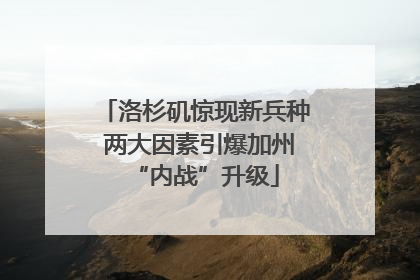 洛杉矶惊现新兵种 两大因素引爆加州“内战”升级