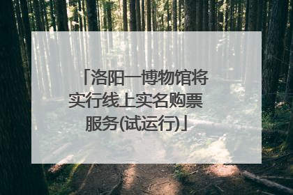 洛阳一博物馆将实行线上实名购票服务(试运行)