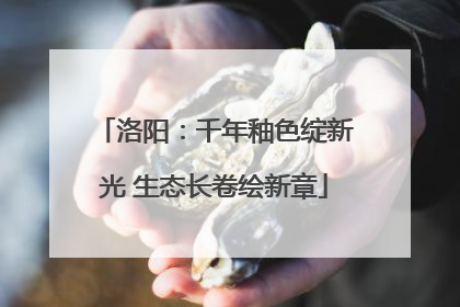洛阳：千年釉色绽新光 生态长卷绘新章