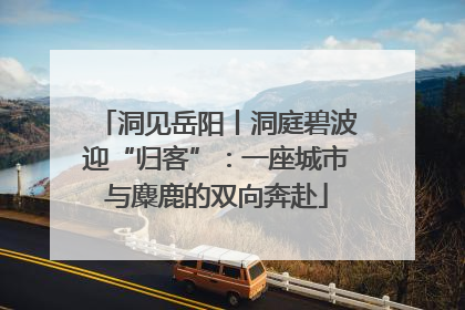 洞见岳阳丨洞庭碧波迎“归客”：一座城市与麋鹿的双向奔赴