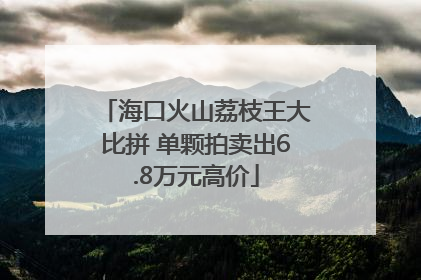 海口火山荔枝王大比拼 单颗拍卖出6.8万元高价
