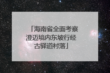 海南省全面考察澄迈境内东坡行经古驿道村落