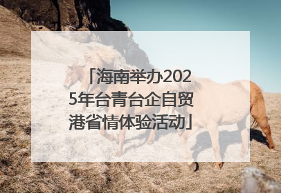 海南举办2025年台青台企自贸港省情体验活动