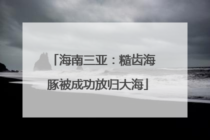 海南三亚：糙齿海豚被成功放归大海