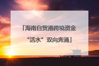 海南自贸港跨境资金“活水”双向奔涌