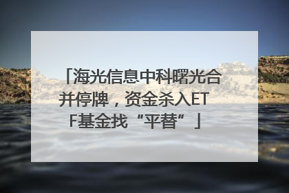 海光信息中科曙光合并停牌，资金杀入ETF基金找“平替”