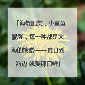 海蛏肥美，小章鱼脆弹，每一种都是大海的馈赠——夏日到海边 就爱那口鲜