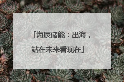 海辰储能：出海，站在未来看现在