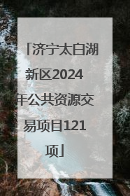 济宁太白湖新区2024年公共资源交易项目121项
