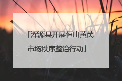 浑源县开展恒山黄芪市场秩序整治行动