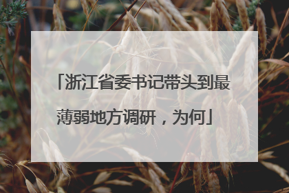 浙江省委书记带头到最薄弱地方调研，为何