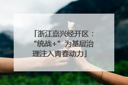 浙江嘉兴经开区：“统战+”为基层治理注入青春动力