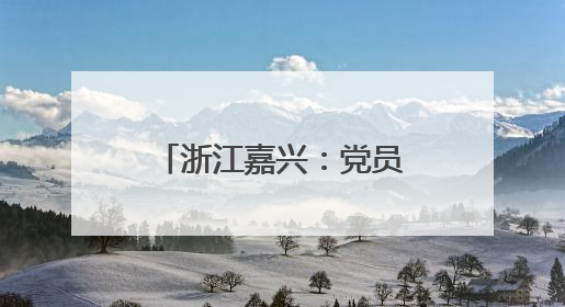 浙江嘉兴：党员“红色专班”护航重大项目建设