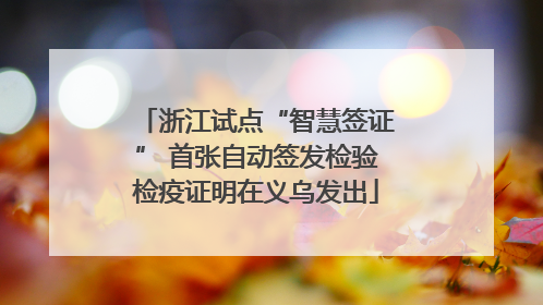 浙江试点“智慧签证” 首张自动签发检验检疫证明在义乌发出