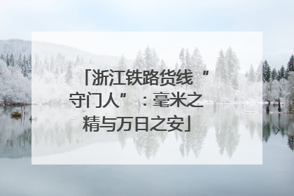 浙江铁路货线“守门人”：毫米之精与万日之安