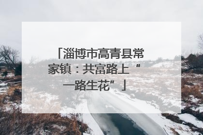 淄博市高青县常家镇：共富路上“一路生花”