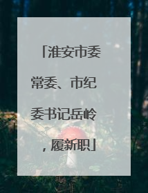 淮安市委常委、市纪委书记岳岭，履新职