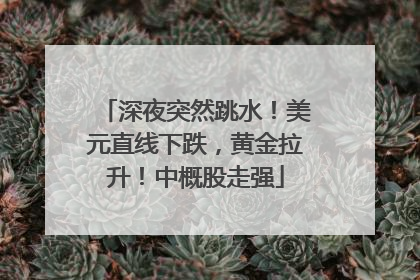 深夜突然跳水！美元直线下跌，黄金拉升！中概股走强