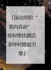 深山里的“双向奔赴”：驻村帮扶激活茅坪村致富引擎