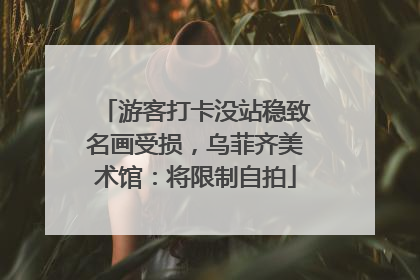 游客打卡没站稳致名画受损，乌菲齐美术馆：将限制自拍