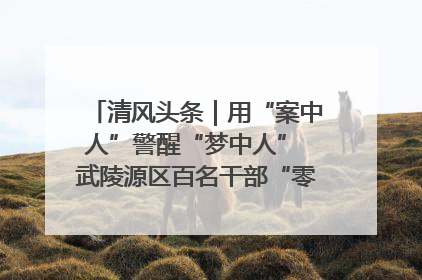 清风头条｜用“案中人”警醒“梦中人” 武陵源区百名干部“零距离”接受警示教育