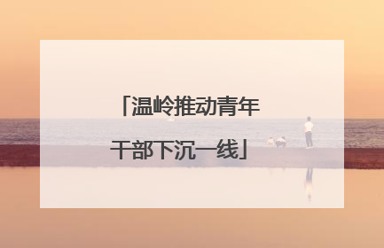 温岭推动青年干部下沉一线