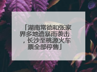 湖南常德和张家界多地遭暴雨袭击，长沙至桃源火车票全部停售