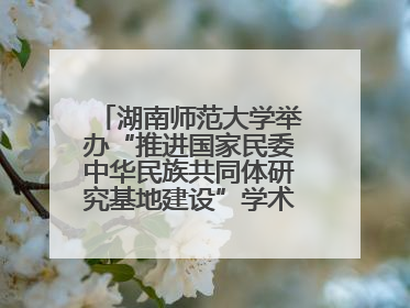 湖南师范大学举办“推进国家民委中华民族共同体研究基地建设”学术研讨会