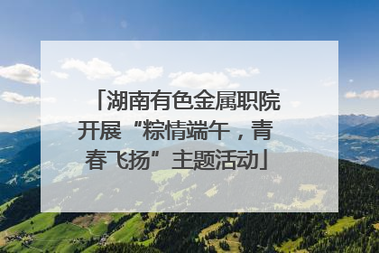 湖南有色金属职院开展“粽情端午，青春飞扬”主题活动