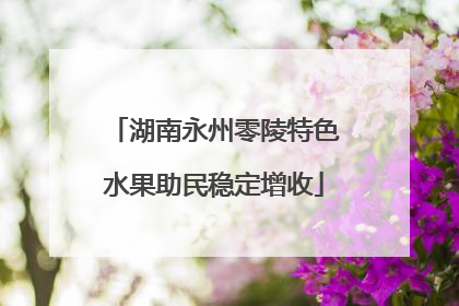 湖南永州零陵特色水果助民稳定增收