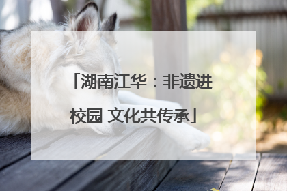 湖南江华：非遗进校园 文化共传承