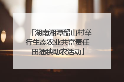 湖南湘潭韶山村举行生态农业共富责任田插秧助农活动