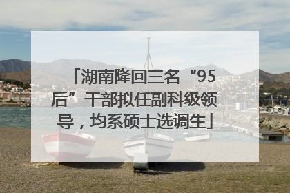湖南隆回三名“95后”干部拟任副科级领导，均系硕士选调生