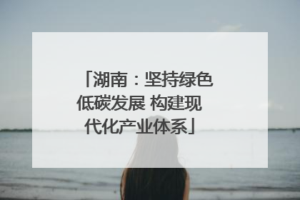 湖南：坚持绿色低碳发展 构建现代化产业体系