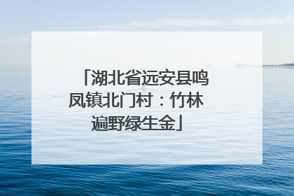 湖北省远安县鸣凤镇北门村：竹林遍野绿生金