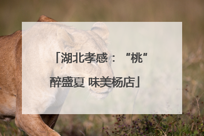 湖北孝感：“桃”醉盛夏 味美杨店