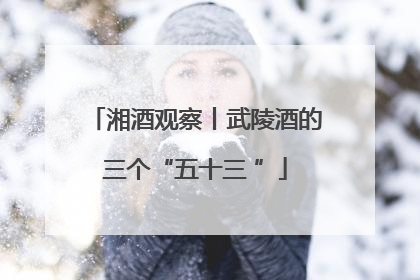 湘酒观察丨武陵酒的三个“五十三 ”