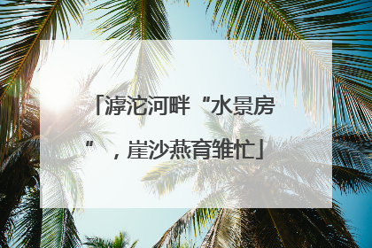 滹沱河畔“水景房”，崖沙燕育雏忙