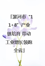 漯河市“11+8”产业链培育 带动工业增长领跑全省